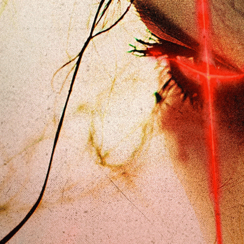 Prospective : It's Not Me